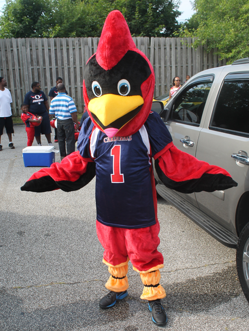 Cardinals Football mascot