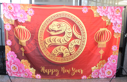 Year of the Snake banner