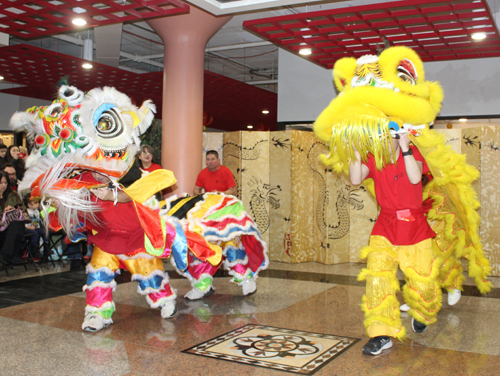 Kwan Family Lion Dance Team