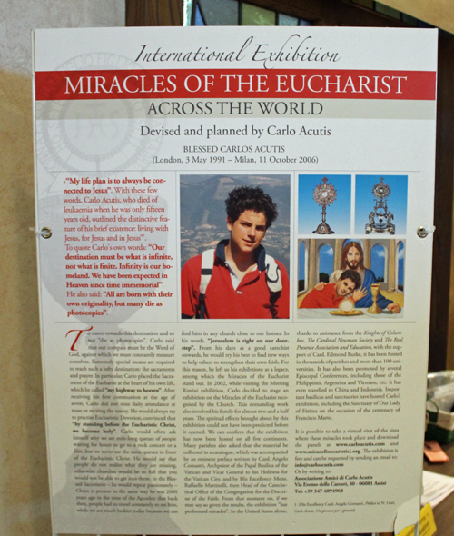 Eucharistic Miracles of the World display