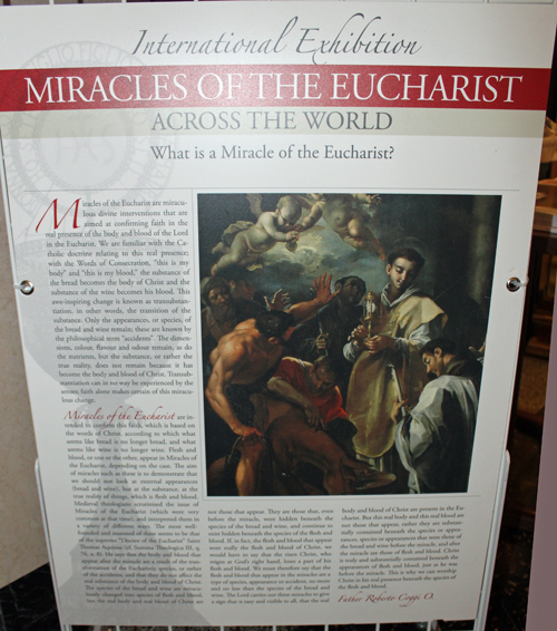 Eucharistic Miracles of the World display