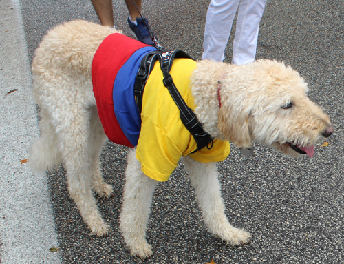 Colombia Cultural Garden in Parade of Flags at One World Day 2024