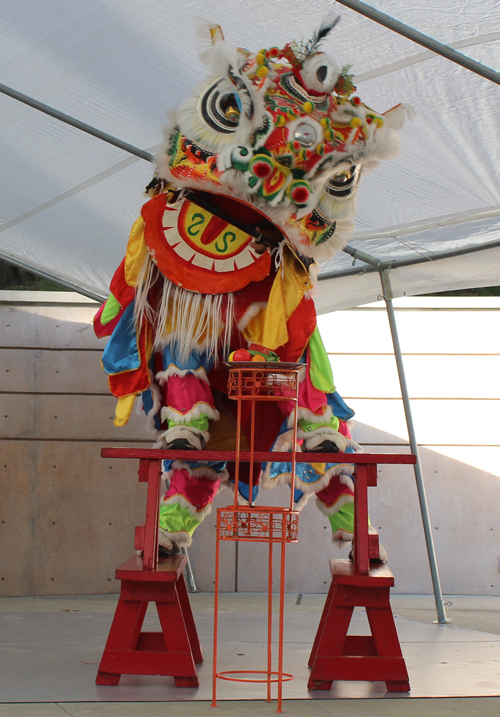 Kwan Family Lion Dance Team