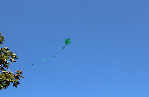 John Myers flying a kite