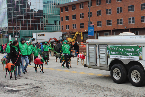 Cleveland 2024 St. Patrick's Day Parade Cleveland Greyhounds