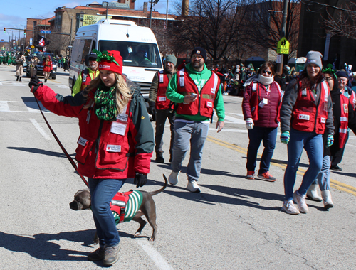 City Dogs at 2025 Cleveland St Patrick's Day Parade