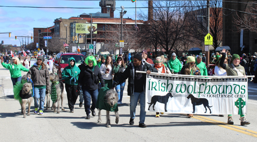 Irish Wolfhounds at 2025 Cleveland St Patrick's Day Parade