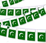 Pakistan Flag String