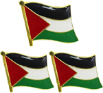 3 Pack Palestine Flag Pins