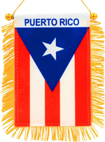 4 X 6 Inch Puerto Rico Fringy Window Hanging Flag