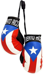 Puerto Rico Mini Boxing Gloves 