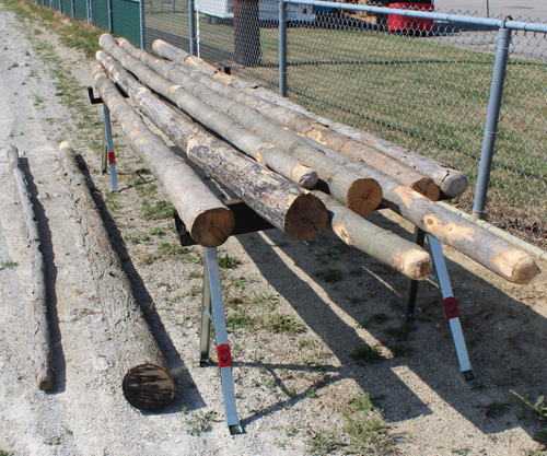 Cabers ready to be tossed