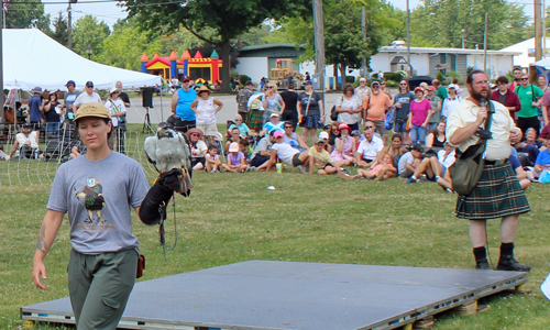 Birds of Prey demonstration