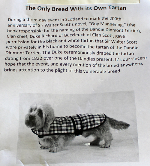 Dandie Dinmont Terrier tartan info