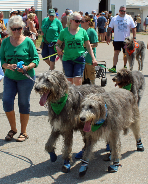 The Grand Parade at the 2024 Ohio Scottish Games and Celtic Festival