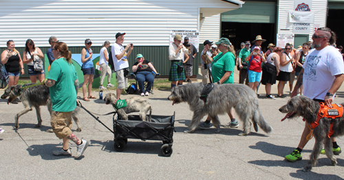 The Grand Parade at the 2024 Ohio Scottish Games and Celtic Festival