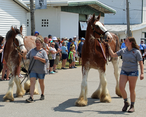 The Grand Parade at the 2024 Ohio Scottish Games and Celtic Festival