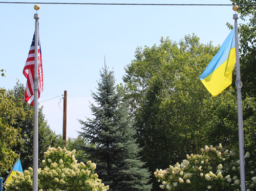 Flags of US and Ukraine